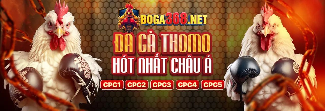 Hình ảnh chương trình VIP 123zo trang chủ chính thức
